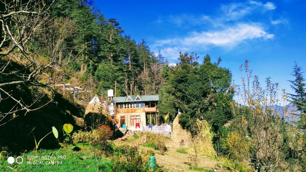 Latoda Eco Lodge Jibhi Ngoại thất bức ảnh